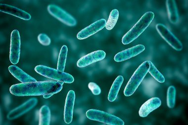 Citrobacter bakterisinin bilimsel görüntüsü, Enterobacteriaceae ailesinden Gram negatif bakteri, 3 boyutlu illüstrasyon. İnsan bağırsağında bulunması idrar yolu enfeksiyonlarına, bebek menenjitine ve sepsise neden olabilir.