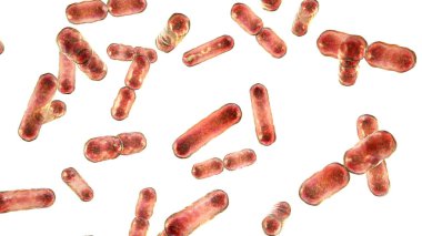 Bakterilerin bilimsel görüntüsü, Gram-negatif anaerobik bakteri, insan bağırsağının normal mikrobiyomunun temel bileşenlerinden biri, 3D illüstrasyon. B. Fragilis ve diğer bakteroidler.