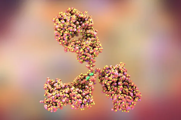 Molekylär Modell Antikropp Som Deltar Immunförsvaret Molekyler Immunglobulin Illustration — Stockfoto