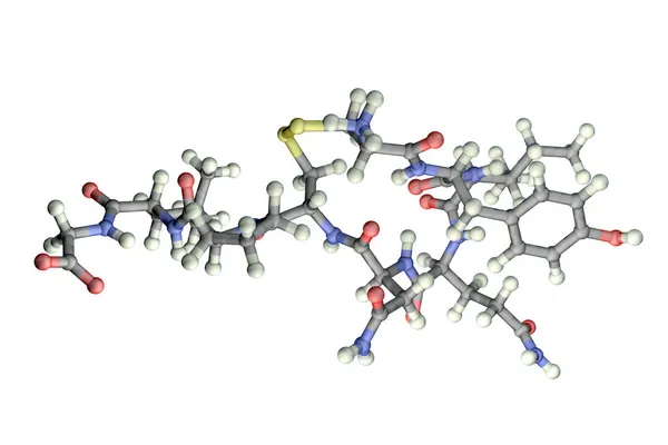 Molécule Ocytocine Une Hormone Libérée Par Neurohypophyse Illustration Provoque Contraction — Photo