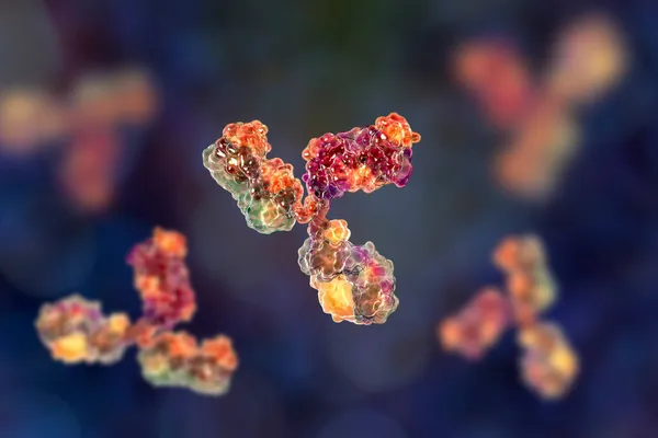 Bağışıklık Sistemini Koruyan Antikor Moleküler Modeli Mmünoglobülin Molekülü Boyutlu Illüstrasyon — Stok fotoğraf