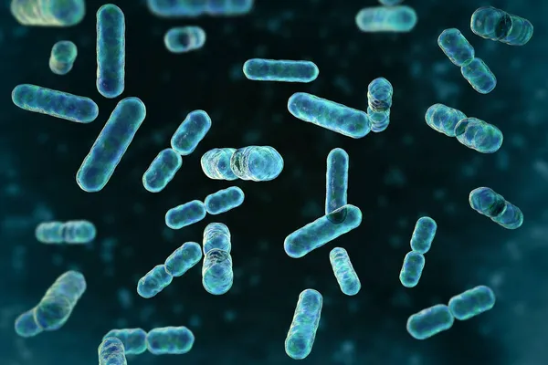 Vetenskaplig Bild Bakterier Bacteroides Gramnegativa Anaeroba Bakterier Viktigaste Komponenterna Normal — Stockfoto