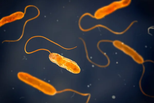 Wissenschaftliche Darstellung Von Beweglichen Geißelten Bakterien Bakterium Stenotrophomonas Maltophilia Illustration — Stockfoto