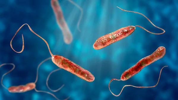 Επιστημονική Εικόνα Των Κινητών Μαστιγωμένων Βακτηρίων Bacterium Stenotrophomonas Maltophilia Τρισδιάστατη — Φωτογραφία Αρχείου