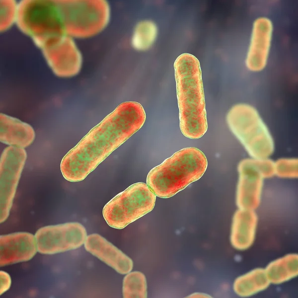 세균의 과학적 이미지 Bacteroides Fragilis Bacteroides 무산소 박테리아 Gram Negative — 스톡 사진