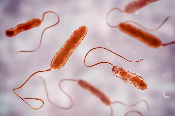 Scientific Image Motile Flagellated Bacteria Bacterium Stenotrophomonas Maltophilia Illustration Bacilli — Stock Photo, Image