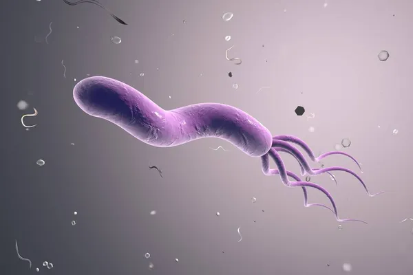 Illustratie Van Helicobacter Pylori Bacterie Die Maag Duodenumulcus Veroorzaakt — Stockfoto