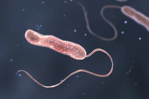 Imagen Científica Bacterias Flageladas Móviles Bacterium Stenotrophomonas Maltophilia Ilustración Bacilos — Foto de Stock