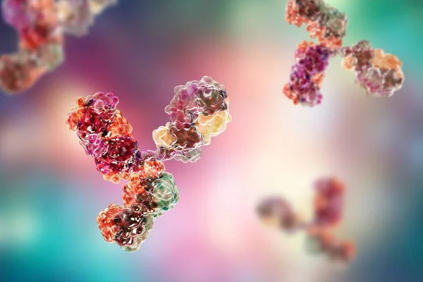 Immunvédelemben Részt Vevő Antitest Molekuláris Modellje Immunglobulin Molekula Illusztráció — Stock Fotó