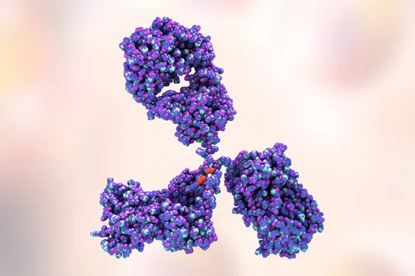 Modello Molecolare Anticorpo Che Partecipa Alla Difesa Immunitaria Molecola Immunoglobulina — Foto Stock