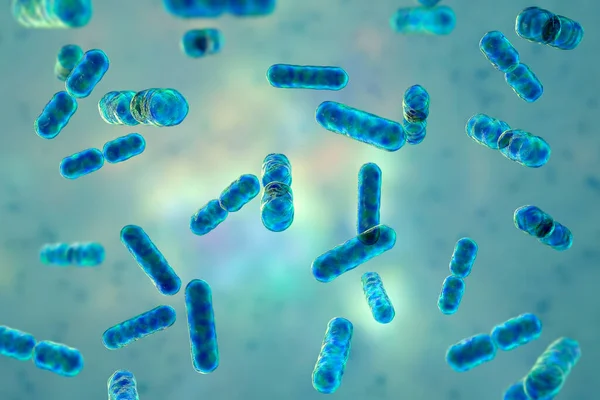 Επιστημονική Εικόνα Βακτηρίων Bacteroides Gram Αρνητικό Αναερόβια Βακτήριο Ένα Από — Φωτογραφία Αρχείου