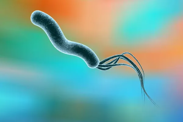 Ilustración Helicobacter Pylori Bacteria Que Causa Úlcera Gástrica Duodenal — Foto de Stock