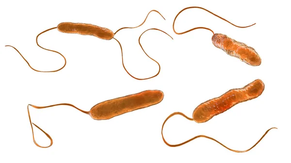 Hareketli Kırbaçlanmış Bakterinin Bilimsel Görüntüsü Bakteri Stenotrophomonas Maltophilia Boyutlu Illüstrasyon — Stok fotoğraf