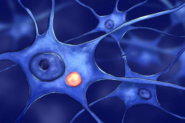 Neurons Rabies Disease Scientific Image Showing Presence Negri Body Orange Stock Picture