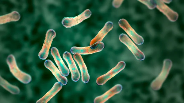 Imagen Científica Bacterias Corynebacterium Mostrando Morfología Característica Bacterias Forma Barra — Foto de Stock