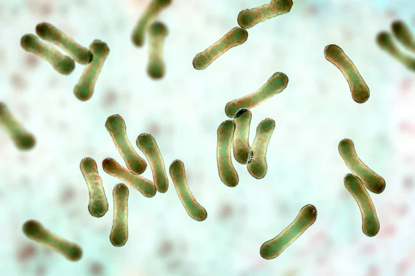 Corynebacterium Bilimsel Görüntüsü Karakteristik Morfolojilerini Gösteriyor Çubuk Şekilli Bakteriler Daha — Stok fotoğraf
