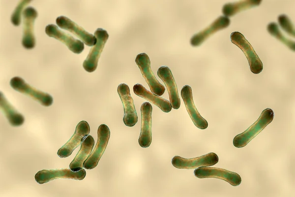 Vědecký Obraz Bakterií Corynebacterium Znázorňující Jejich Charakteristickou Morfologii Tyčovité Bakterie — Stock fotografie