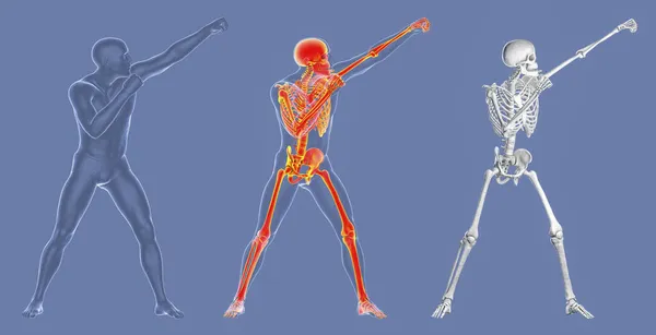 Анатомия Бокса Иллюстрация Мужское Тело Человека Боксёрской Позиции Высоким Скелетом — стоковое фото