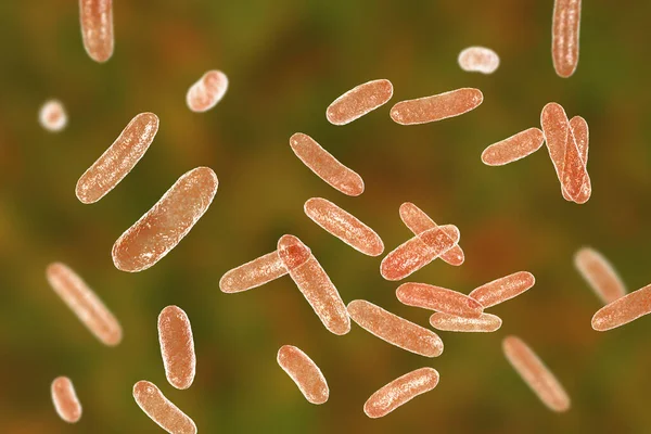 Scientific Image Bacteria Citrobacter Gram Negative Bacteria Enterobacteriaceae Family Illustration — Stock Photo, Image