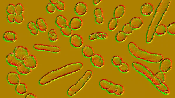 Bakterien Verschiedenen Formen Illustration Kokken Stäbchenförmige Bakterien — Stockfoto