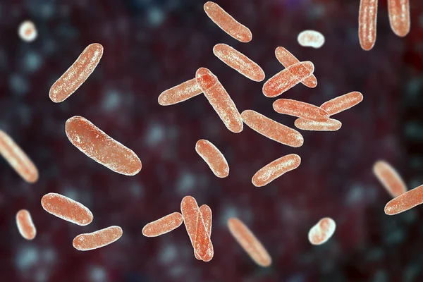 Vědecký Obraz Bakterií Citrobacter Gramnegativní Bakterie Čeledi Enterobacteriaceae Ilustrace Nalezeno — Stock fotografie