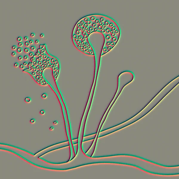 キノコ型 黒真菌 パン型真菌 粘膜を引き起こす機会の多い真菌 コヴィト 19の合併症 手描きの科学イラスト — ストック写真