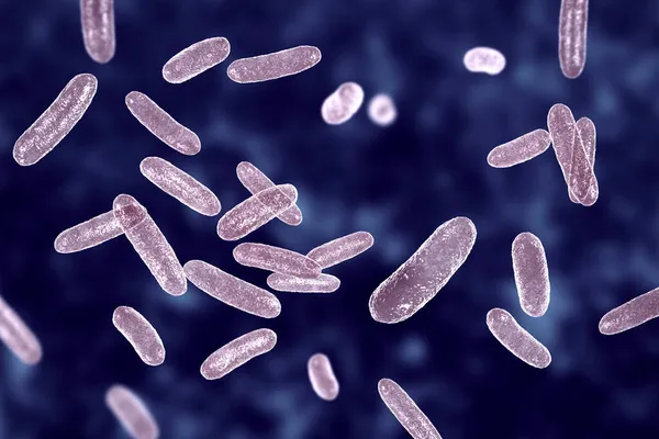 細菌の科学的画像Citrobacter Enterobaceace科のグラム陰性菌 3Dイラスト ヒトの腸で発見され 尿感染症 乳児髄膜炎および敗血症を引き起こす可能性がある — ストック写真