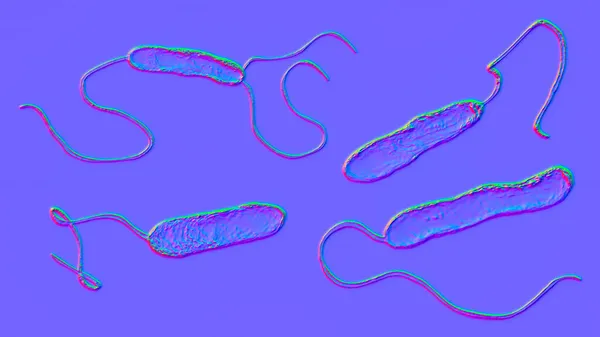 Scientific Image Motile Flagellated Bacteria Bacterium Stenotrophomonas Maltophilia Illustration Bacilli — Stock Photo, Image