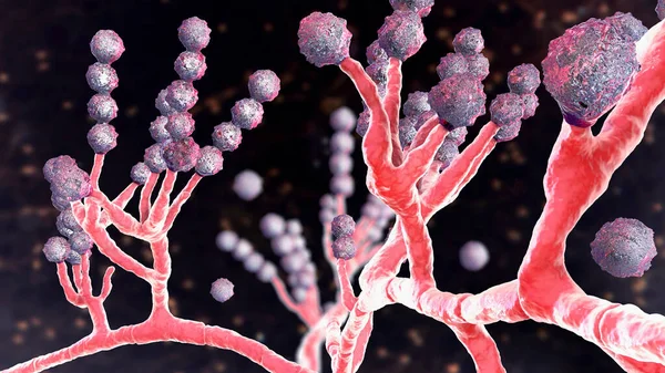 显微镜下的真菌 酿酒花 3D图解 感染指甲 引起皮下和侵入性感染 心内膜炎 鼻窦炎 传播性感染的真菌 — 图库照片