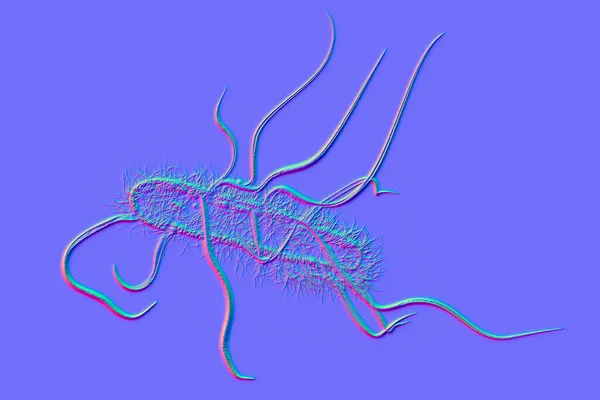 Escherichia Coli Bakterier Illustration Coli Gramnegativ Stavformad Motil Bakterie Täckt — Stockfoto