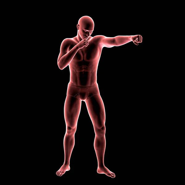 Boks Sporunun Anatomisi Boyutlu Illüstrasyon Nsan Vücudu Boks Pozisyonunda — Stok fotoğraf
