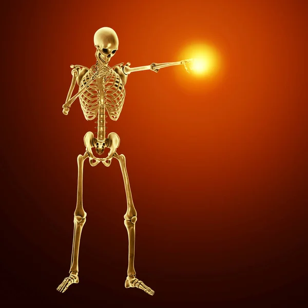 Концепція Боротьби Анатомія Боксерського Спорту Ілюстрація Скелет Людини Положенні Боксу — стокове фото