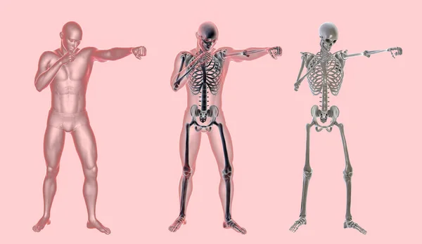 Anatomie Sportu Boxu Ilustrace Lidské Mužské Tělo Boxerské Pozici Zvýrazněnou — Stock fotografie