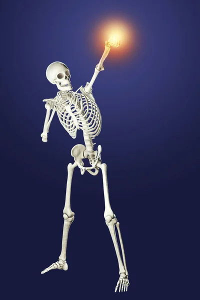 Vechten Concept Anatomie Van Bokssport Illustratie Menselijk Skelet Bokspositie Met — Stockfoto