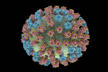 Grip virüsü H3N2, yüzey glikoprotein artışlarını gösteren 3 boyutlu illüstrasyon hemagglutinin ve nöroaminidaz. Hemagglutininler gribe karşı bağışıklık sistemini düzenleyen glikalara (sarı) sahiptir.