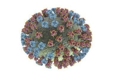 Grip virüsü H3N2, yüzey glikoprotein artışlarını gösteren 3 boyutlu illüstrasyon hemagglutinin ve nöroaminidaz. Hemagglutininler gribe karşı bağışıklık sistemini düzenleyen glikalara (sarı) sahiptir.