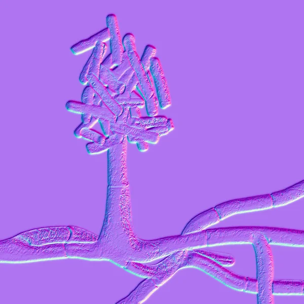 Μικροσκοπικοί Μύκητες Χορμογραφέλλα Επιστημονική Τρισδιάστατη Απεικόνιση Περιστασιακά Προκαλούν Πνευμονικές Λοιμώξεις — Φωτογραφία Αρχείου
