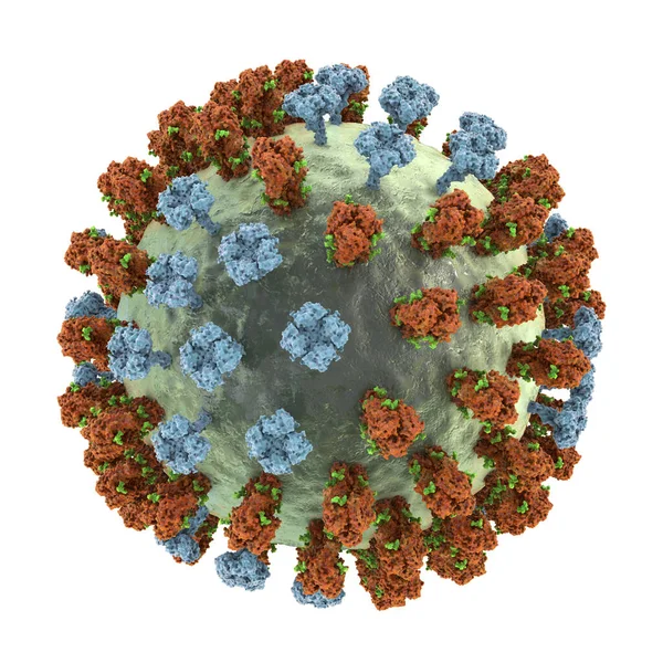 Influenza Virus Illustration Showing Surface Glycoprotein Spikes Hemagglutinin Blue Neuraminidase — Stock Photo, Image