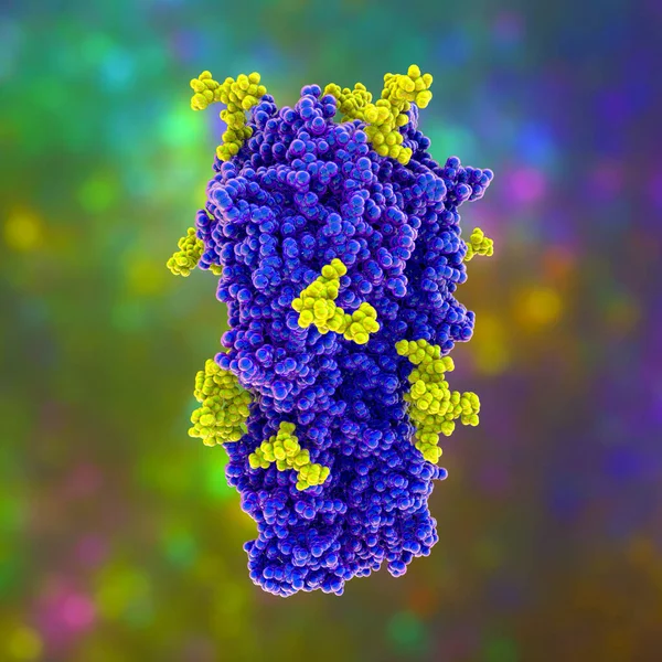 Model Molekularny Wirusa Grypy Hemaglutynina Wirusa H3N2 Hongkong 1968 Glikanami — Zdjęcie stockowe