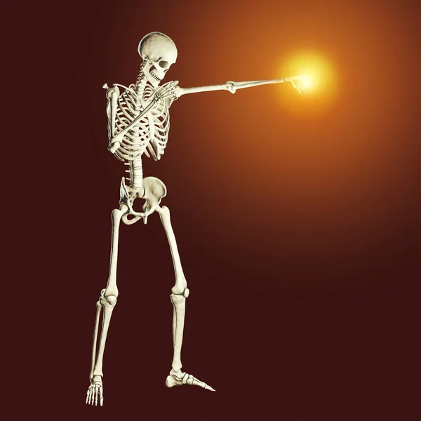 Концепція Боротьби Анатомія Боксерського Спорту Ілюстрація Скелет Людини Положенні Боксу — стокове фото