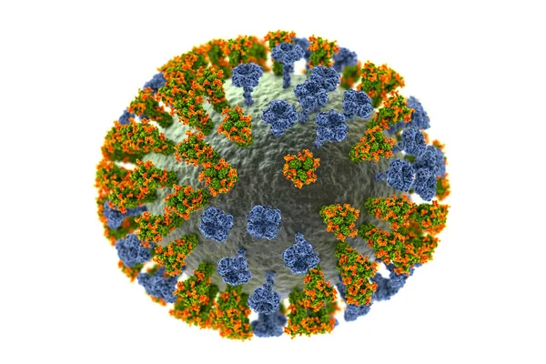 Grip virüsü H3N2, yüzey glikoprotein artışlarını gösteren 3 boyutlu illüstrasyon hemagglutinin ve nöroaminidaz. Hemagglutininler gribe karşı bağışıklık sistemini düzenleyen glicanlara (portakal) sahiptir.