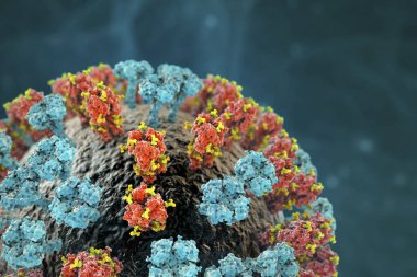 Grip virüsü H3N2 yakın çekim görüntüsü, yüzey glycoprotein artışlarını gösteren 3 boyutlu illüstrasyon hemagglutinin ve nöroaminidaz. Hemagglutininler gribe karşı bağışıklık sistemini düzenleyen glicanlara (sarı) sahiptir.