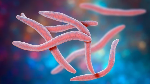 Fusobacterium Иллюстрация Бактерии Ротовой Полости Вызывает Пародонтологические Заболевания Образование Пародонта — стоковое фото