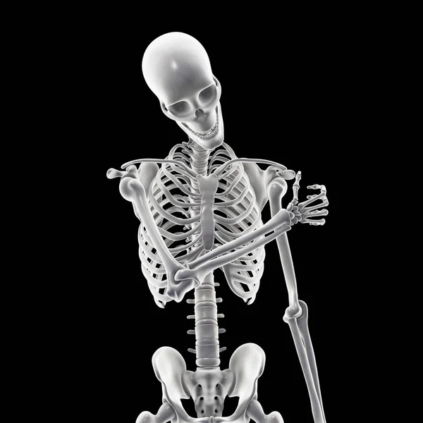 Human Skeleton Shoulder Pain Illustration — Stockfoto