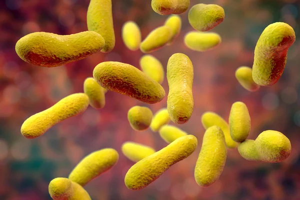 Bakterie Coxiella Burnetii Ilustracja Bakterie Gram Ujemne Wywołujące Gorączkę Przenoszone — Zdjęcie stockowe