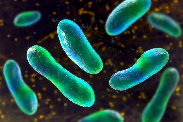 Bacterias Coxiella Burnetii Ilustración Las Bacterias Gramnegativas Que Causan Fiebre — Foto de Stock