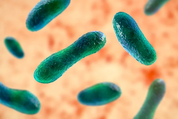 Bakterie Coxiella Burnetii Ilustracja Bakterie Gram Ujemne Wywołujące Gorączkę Przenoszone — Zdjęcie stockowe