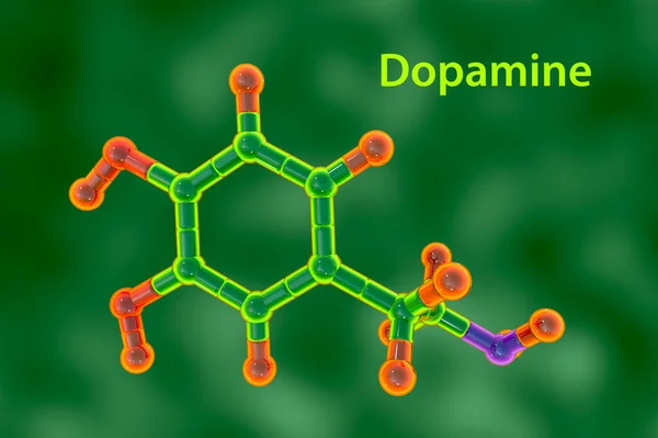 Dopamine molecule, 3D illustration. A neuromodulatory molecule, a neurotransmitter, is a key part of the brain neurophysiology, also used as a drug