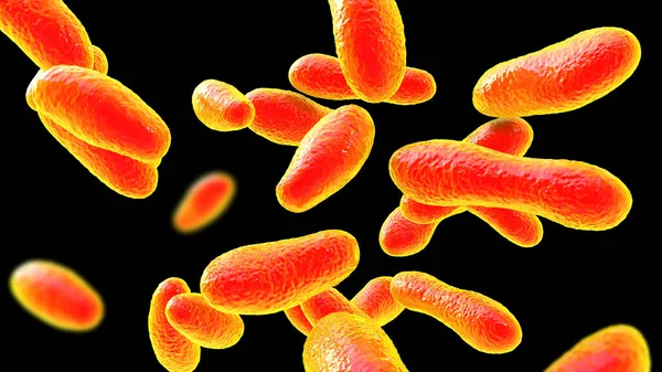 Bacterias Coxiella Burnetii Ilustración Las Bacterias Gramnegativas Que Causan Fiebre —  Fotos de Stock