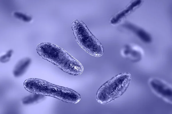 Bacteriën Coxiella Burnetii Illustratie Gram Negatieve Bacteriën Die Koorts Veroorzaken — Stockfoto